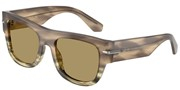 Dolce e Gabbana 0DG4484-34392