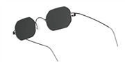 Kupnja ili uvećanje ove slike, LINDBERG 8223-U9SL110.