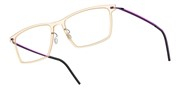 LINDBERG NOW6544C21MT802-P77