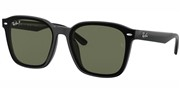 Ray Ban 0RB4392D-6019A