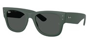 Kupnja ili uvećanje ove slike, Ray Ban 0RB4840S-665787.