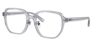 Kupnja ili uvećanje ove slike, Ray Ban 0RX5424D-8415.