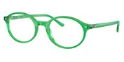 Kupnja ili uvećanje ove slike, Ray Ban 0RX5429-8441.