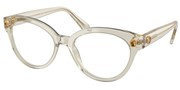 Swarovski Eyewear 0SK2037-3003