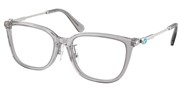 Swarovski Eyewear 0SK2041D-1069