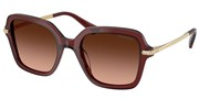 Swarovski Eyewear 0SK6040-10735M